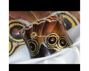 Гривна УМОРЕÐИ КРИЛРКРÐЛИЦÐ