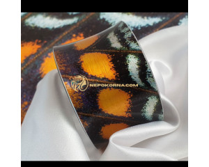 Гривна УМОРЕÐИ КРИЛРЛЮБОВÐИЦÐ