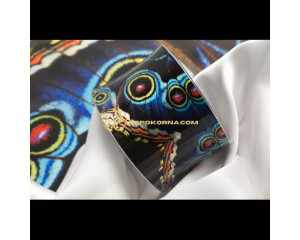 Гривна УМОРЕÐИ КРИЛРÐРВЕЧÐОСТТР2